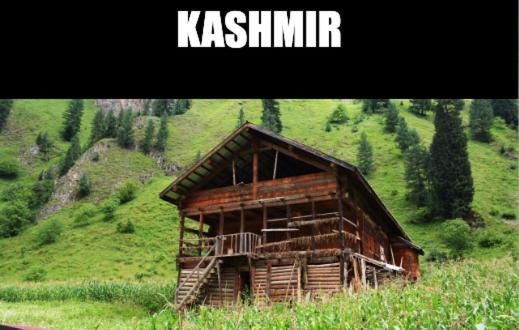 Kashmir Hill Town Hotel Srīnagar Екстериор снимка